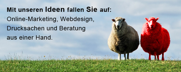 Internetagentur Aachen Stolberg Eschweiler TRIAS Media